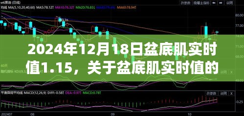 深度解析，以2024年12月18日盆底肌实时值1.15为例，探讨盆底肌健康状态