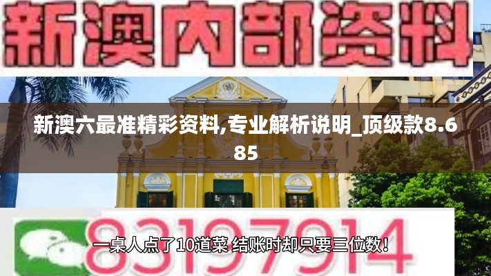 新澳六最准精彩资料,专业解析说明_顶级款8.685