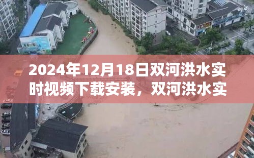 2024年双河洪水实时视频下载安装指南，专享教程及实时更新