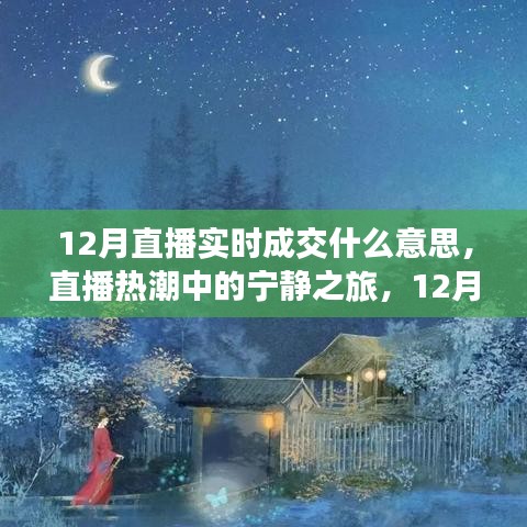 直播热潮揭秘，12月实时成交背后的故事与宁静之旅