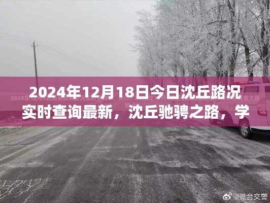 沈丘路况实时更新，驰骋之路铸就自信与成就，共同前行于2024年之路