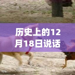 历史上的12月18日，探寻内心平静的成语与自然美景之旅，希望符合您的要求。