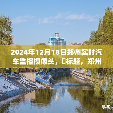 郑州汽车监控之旅，探寻自然微笑与内心宁静的2024年12月18日纪实