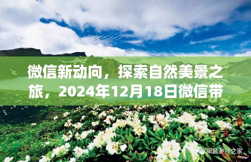 微信新动向揭秘，实时定位，探索心灵宁静的自然美景之旅（2024年12月18日）