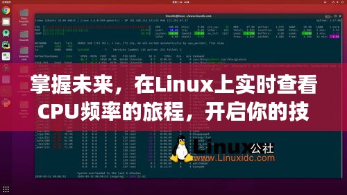 Linux实时查看CPU频率，开启技术自信，掌握未来旅程