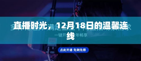 2024年12月22日 第20页