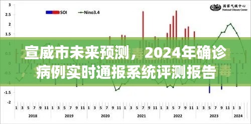 宣威市未来预测及实时通报系统评测报告，2024年确诊病例动态分析展望