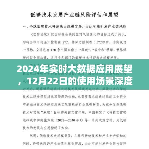 2024年实时大数据应用展望，深度解析12月22日使用场景