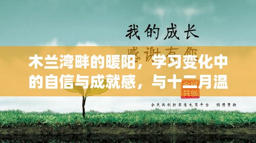 木兰湾畔暖阳下的学习之旅，自信与成就感的温暖相伴十二月