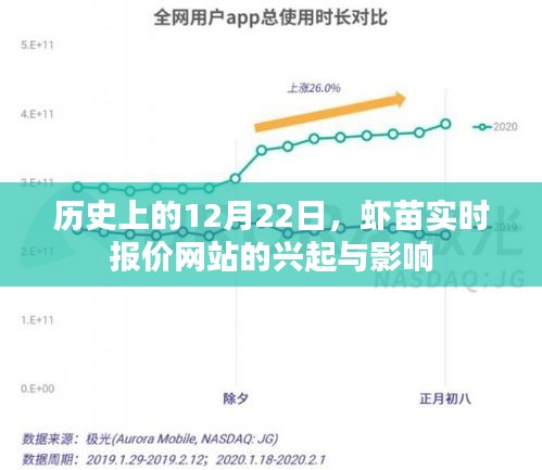 虾苗实时报价网站的兴起与影响，历史视角下的12月22日回顾