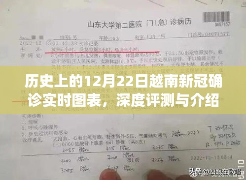 历史上的12月22日越南新冠确诊实时图表，深度分析与介绍