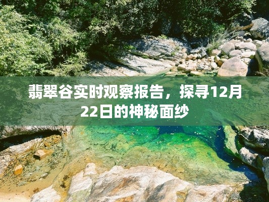 翡翠谷实时观察报告揭秘，探寻神秘面纱下的12月22日