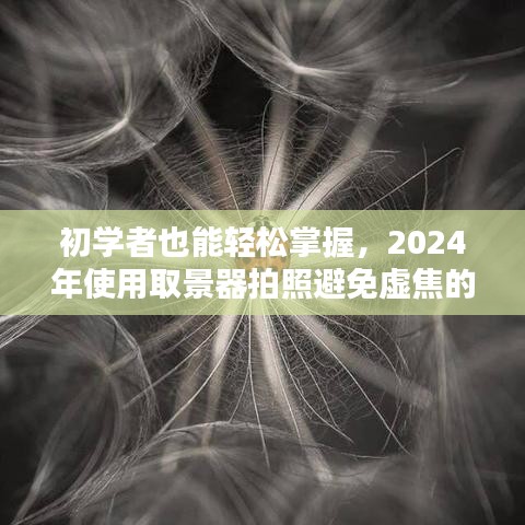 初学者必备，实时取景器拍照技巧，避免虚焦的实用指南（2024版）