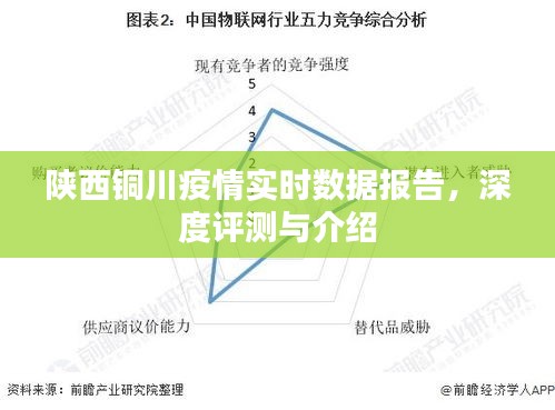 2024年12月23日 第6页