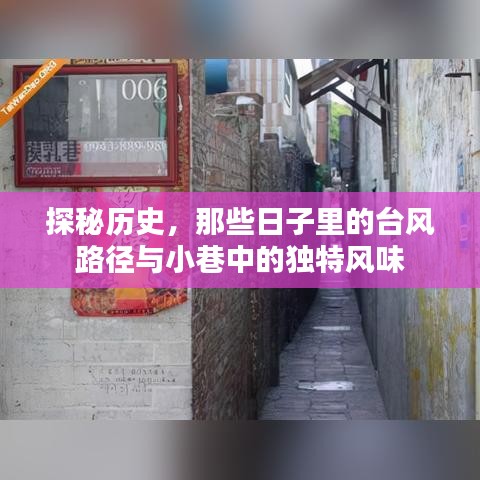 历史探秘，台风路径与小巷风情的独特交织