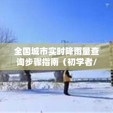 全国城市实时降雨量查询步骤详解，适用于初学者与进阶用户