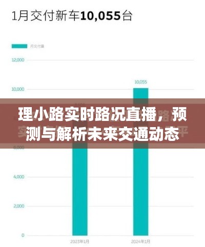 未来交通动态解析与实时路况直播，理小路交通预测报告（2024年12月22日）