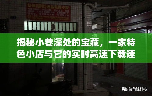 小巷深处的下载奇迹，一家特色小店的实时高速下载与隐藏宝藏探索