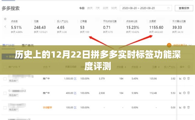 拼多多实时标签功能深度评测，历史性的12月22日观察