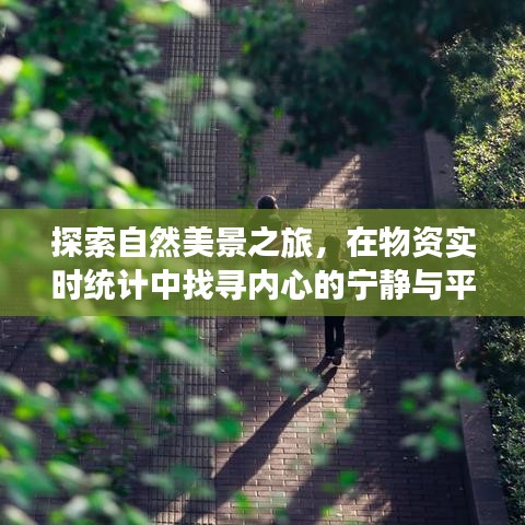 物资实时统计下的自然美景探索之旅，内心的宁静与平和之寻