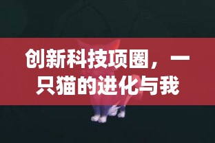 创新科技项圈，猫之进化与励志传奇