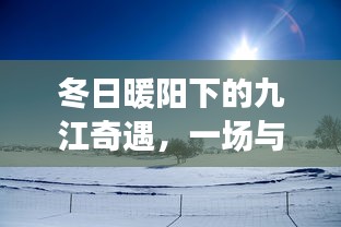 九江奇遇，冬日暖阳与天气预报的温馨邂逅