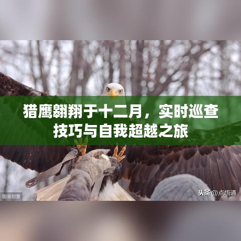 猎鹰十二月翱翔，实时巡查技巧与自我超越之旅