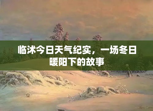 临沭冬日暖阳下的天气纪实