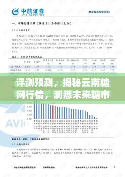 揭秘云南糖网行情，洞悉未来糖市动态展望（以2024年实时数据为例）