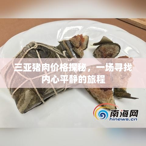 三亚猪肉价格探秘，一场关于物价与心境的旅程