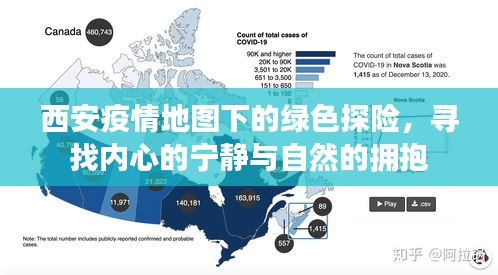 西安疫情地图下的绿色探险，寻求心灵宁静与自然融合之旅