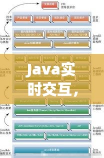 Java实时交互，从入门到进阶的全方位指南（适合初学者与资深开发者）