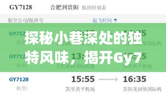 探秘小巷深处的独特风味，揭开Gy7143航班实时动态查询背后的神秘面纱