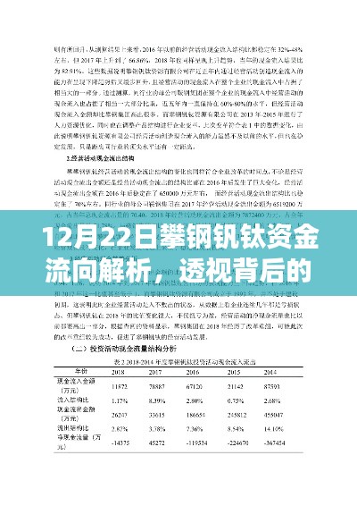 攀钢钒钛资金流向深度解析，动因背后的影响观察