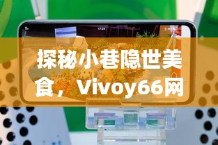 探秘小巷隐世美食与Vivoy66网速秘籍，美食网速双重探享