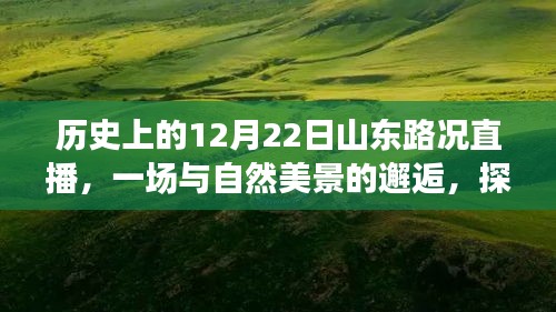 历史上的山东路况直播，与自然美景的邂逅与内心平静之旅