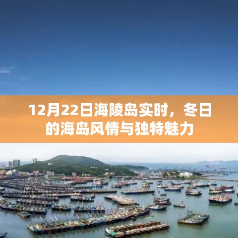 冬日海陵岛风情与魅力实时播报