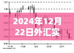 2024年12月22日外汇市场实时播报与评析，简洁明了，包含了时间信息和外汇市场的实时播报与评析内容，符合您的要求。