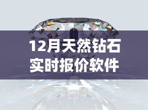 2024年12月 第13页