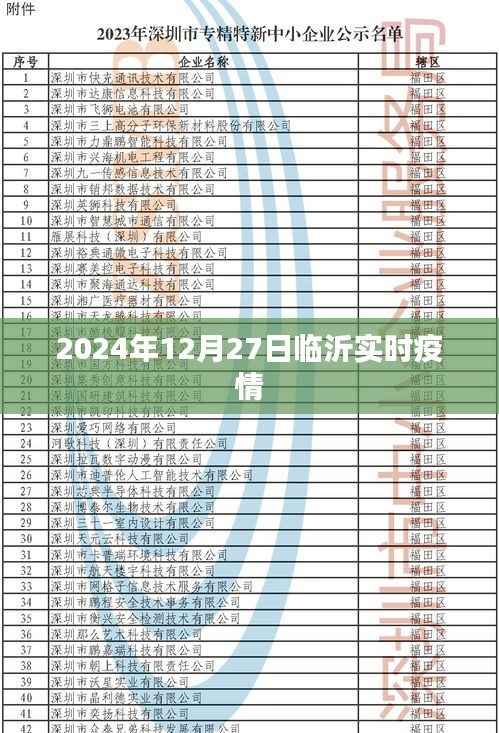 临沂实时疫情更新，最新数据报告（时间，2024年12月27日）