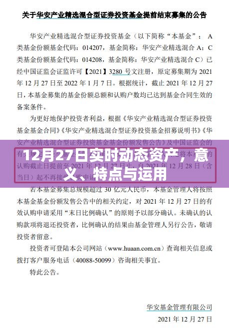 实时动态资产详解，意义、特点及应用解析