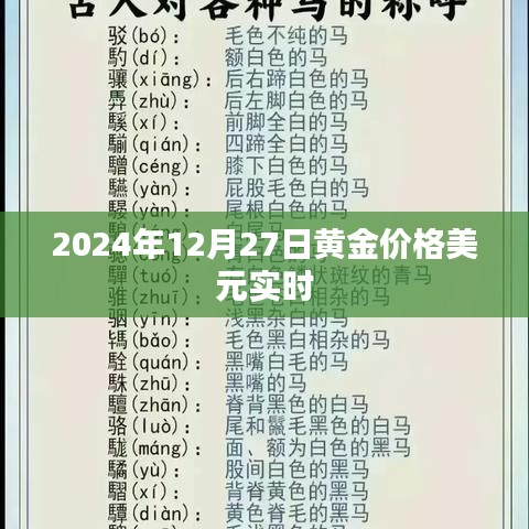 2024年黄金价格美元实时走势分析