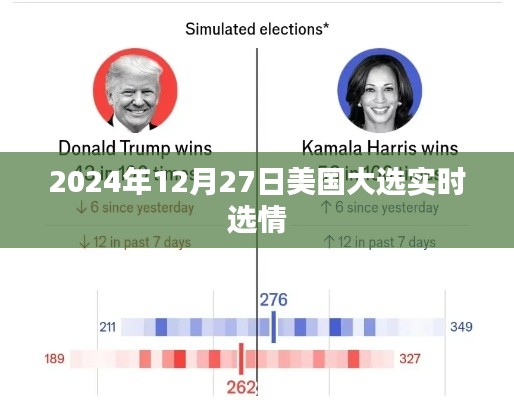 美国大选实时选情更新，最新进展与预测分析