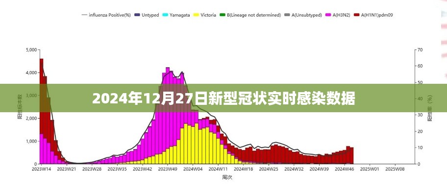 全球关注，2024年12月27日新型冠状病毒实时感染数据报告