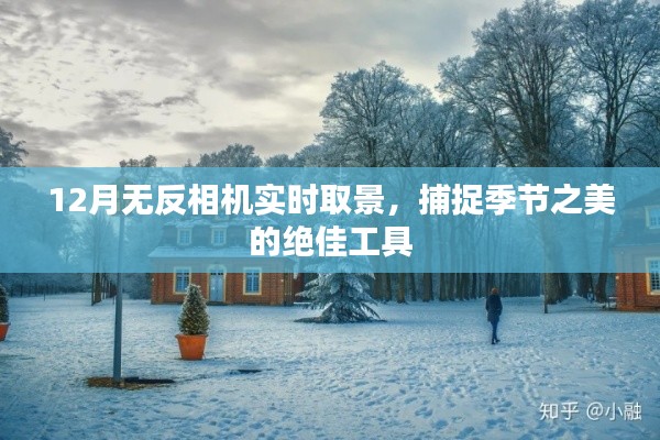 12月无反相机，实时取景，捕捉季节之美