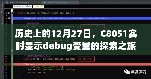 C8051实时调试，探索Debug变量的历史之旅