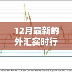 12月最新外汇实时行情概览