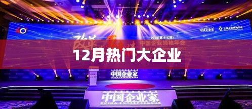 12月大企业热点聚焦