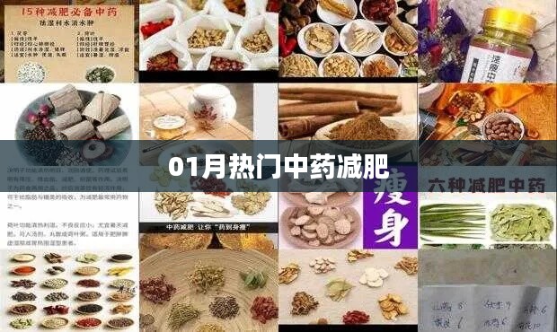 中药减肥秘籍，一月热门瘦身良方