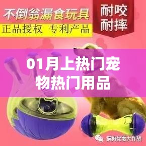 宠物热门用品榜单出炉，一月精选推荐